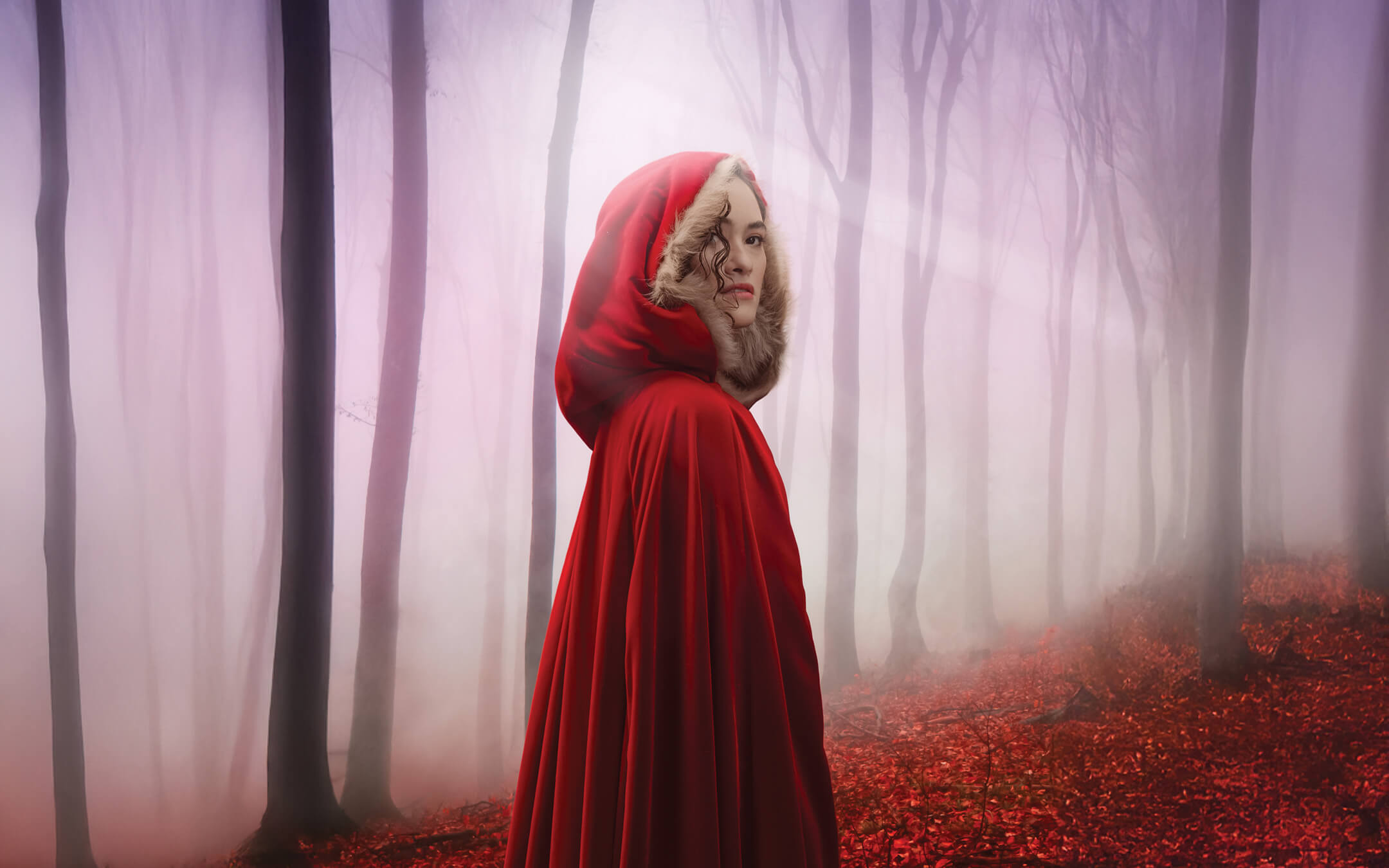 S26 Web Banner 2160x1350 Into The Woods