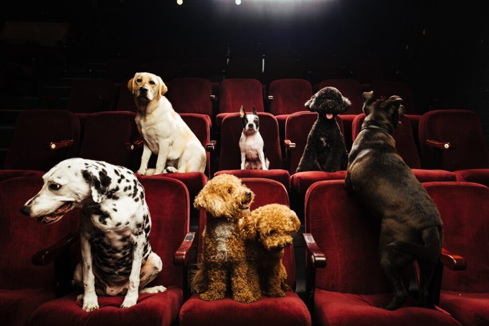 7 Company Support The Good Room LBFF group shot